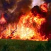 Пожар уничтожил 90% Муравьевского парка