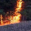 Пожар в Муравьевском парке сулит уголовщиной