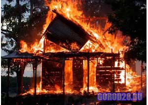 В Приамурье пожар в дачном домике унес жизнь мужчины